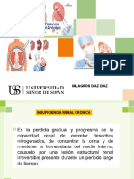 Insuficiencia Renal Cronica