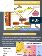 Transporte de Lipidos - Lipoproteinas