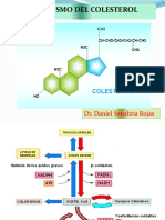 Metabolismo de Colesterol