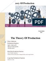 The Theory of Production - 1