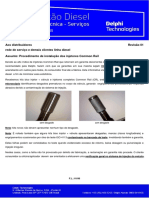 Informativo Common Rail Delphi