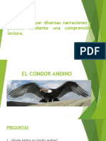 EL CONDOR ANDINO 8vos - Naturaleza Unidad 4