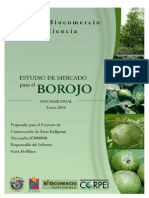 Estudio Borojo Entrega Final v2