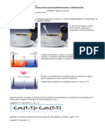 EJERCICIOS DE APLICACIÓN DE Equilibrio Térmico Patricia