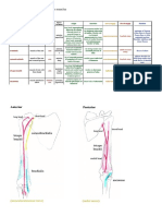 Qdoc - Tips - Muscles of The Upper Limb Made Easy