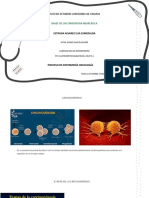 Bases de La Enfermería Neoplásica