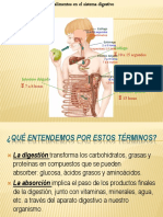 Digestion y Absorcion-Procesos Digestivos