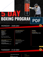 5 Day Boxing Program