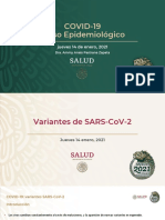 1 - Variantes - COVID-19-pulso-epi 1