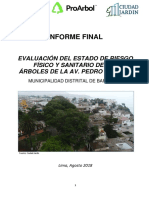 Informe Final - Av. Pedro de Osma