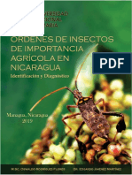 Ordenes de Insectos de Importancia Agricola