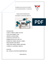 MAGNESIO Trabajo de Investigacion