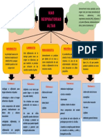 Organigrama de Vias Respiratorias Altas