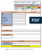 Reporte Preliminar de Accidente o Incidente - Rev 01