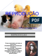 4 Reproducao Animal