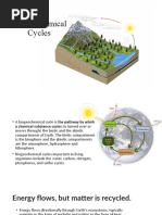 Biogeochemical Cycles