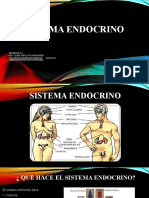 Sistema Endocrino