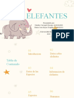 Elefantes - Gestion Ambiental