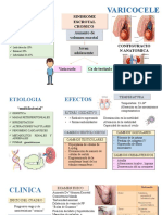 VARICOCELE