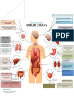 Concept Map: Prepared by