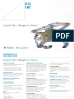 Lesson Plan: Mangrove Forests