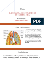 Diapositiva de Lao Pulmones