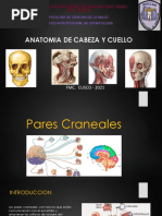 Pares Creneales (EXAMEN)