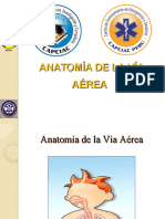 Anatomia y Fisiologia de La Via Aerea 2