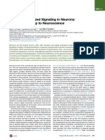 Compartmentalized Signaling in Neurons - From Cell Biology To Neuroscience