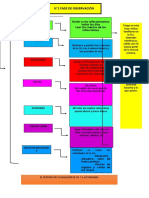 Esquema Criterio Fases Final 2021