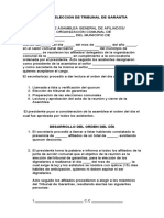 Acta de Eleccion de Tribunal de Garantia