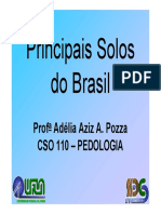 Principais Solos Do Brasil. Prof A Adélia Aziz A. Pozza CSO 110 PEDOLOGIA