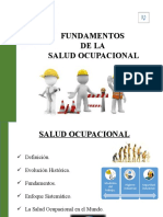 Fundamentos de La Salud Ocupacional Roney