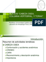 Anatomia Ucv Osteologia