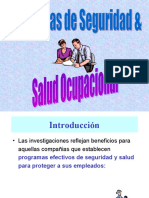 Programas de Seguridad