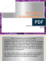 Bordetella Bronchiseptica