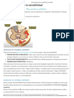 Neuroanatomía de La Sensibilidad