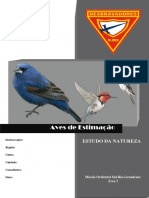 Especialidade de Aves de Estimação