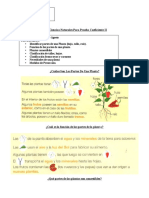 Guía Ciencias Naturales para Prueba Coeficiente II