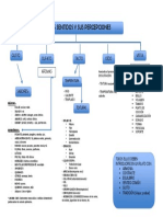 Mapa Conceptual LOS SENTIDOS