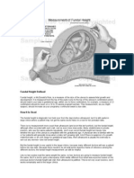 Fundal Height Defined