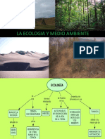 Laecologiaymedioambiente 160629015448