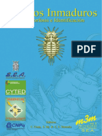 Costa Et Al 2006 Insectos Inmaduros, Metamorfosis e Identificacion