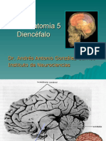 Neuroanatomia 5