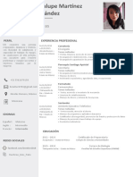 Curriculum Vitae