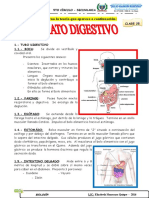 Clase 25 APARATO DIGESTIVO