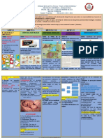 Proyecto 5 Agenda 25