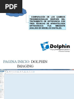 Manual Dolphin