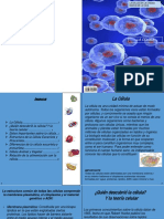 Revista Sobre La Celula