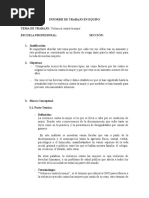 INFORME DE TRABAJO EN EQUIPO - Violencia Contra La Mujer